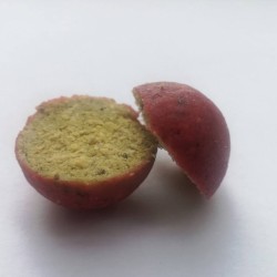 Pornstars - peach &cream +black pepper Shelf Life 20mm